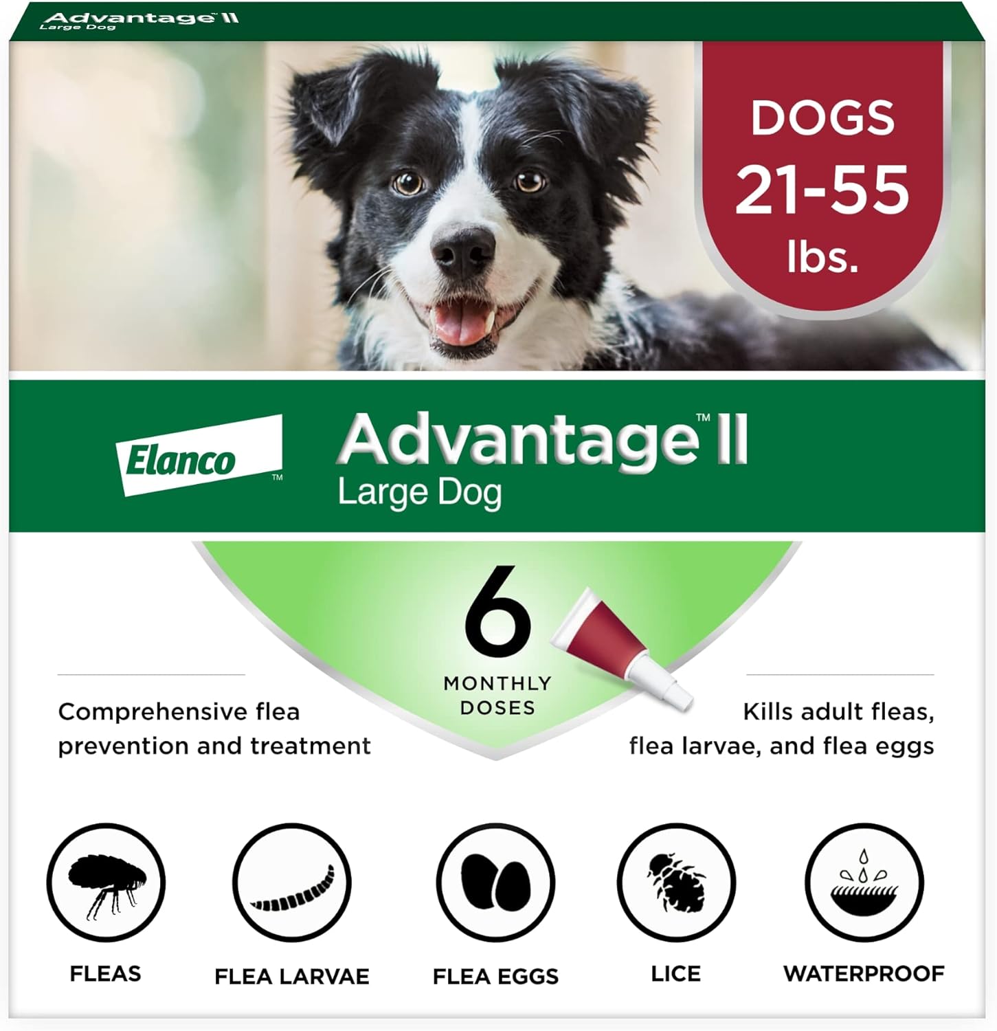 Advantage II Large Dog Flea Treatment 21-55 lbs 6-Month - Hamxi
