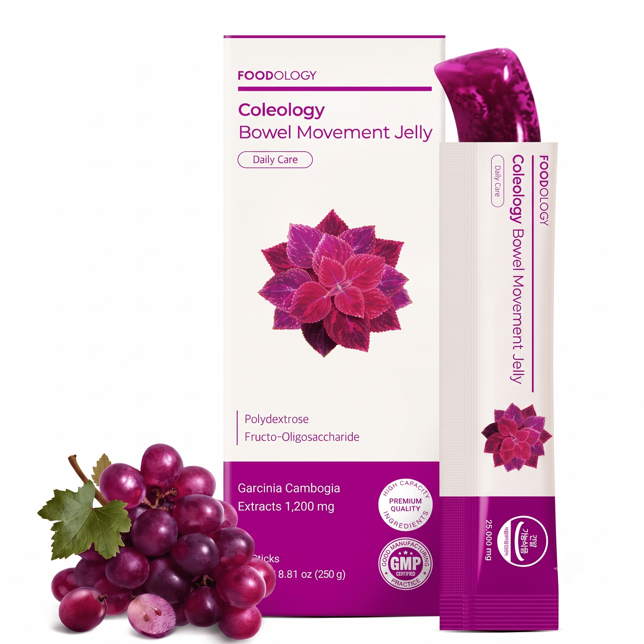 FOODOLOGY Coleology Bowel Movement Jelly Grape Prune 250g - Hamxi