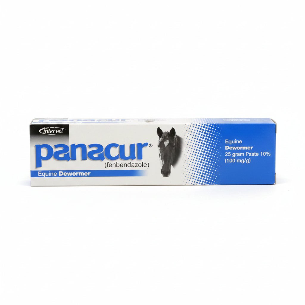 Panacur Fenbendazole Equine Dewormer Paste 25g Single Syringe - Hamxi