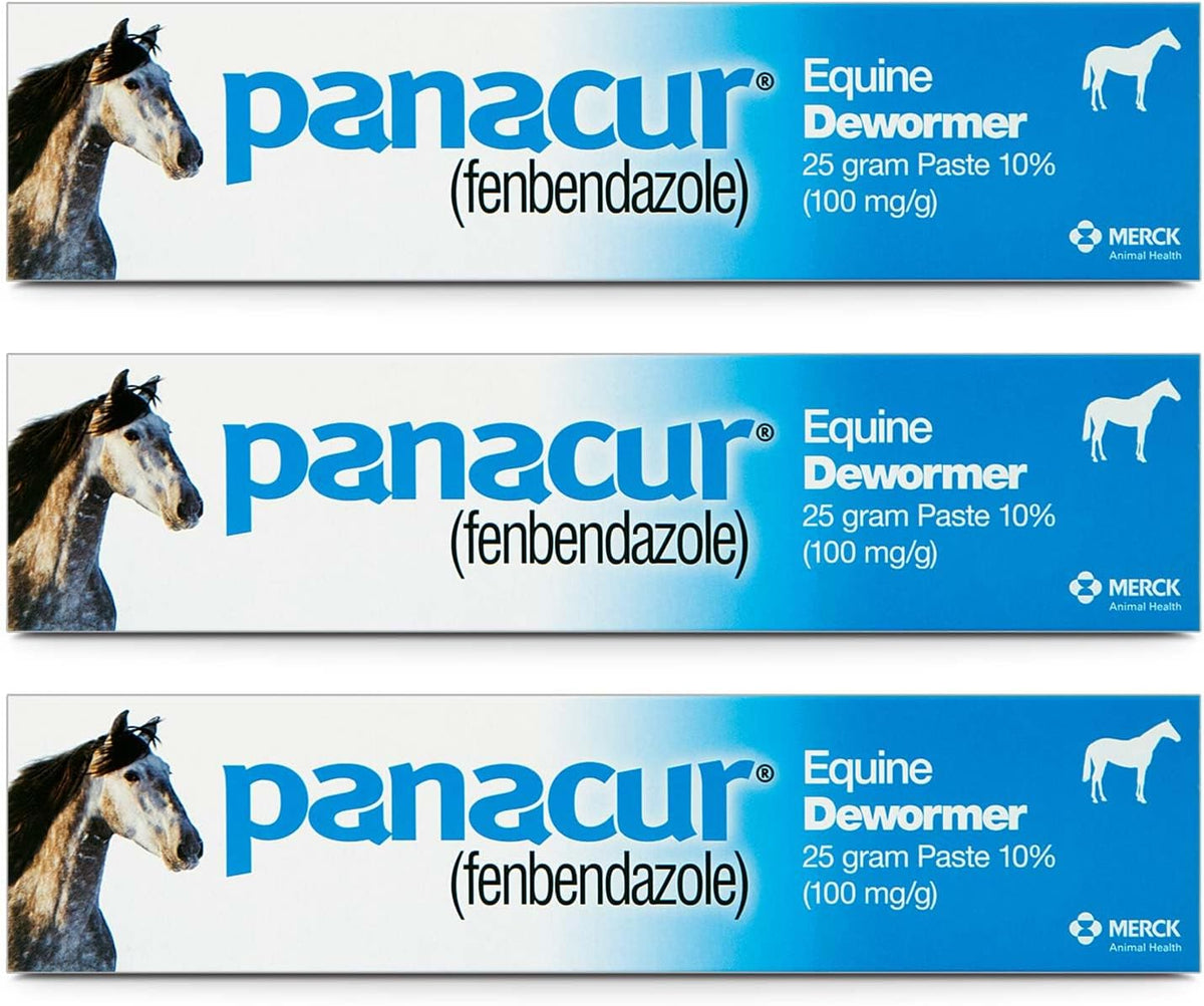 Panacur Fenbendazole Equine Dewormer Paste 3-Pack 25g - Hamxi