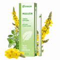 Ximonth Herbal Purifier Diffuser Pen - Hamxi